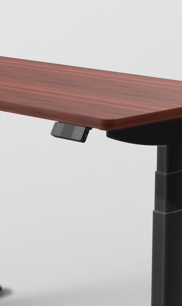 Flachovale Säule des neuen PRO PLUS